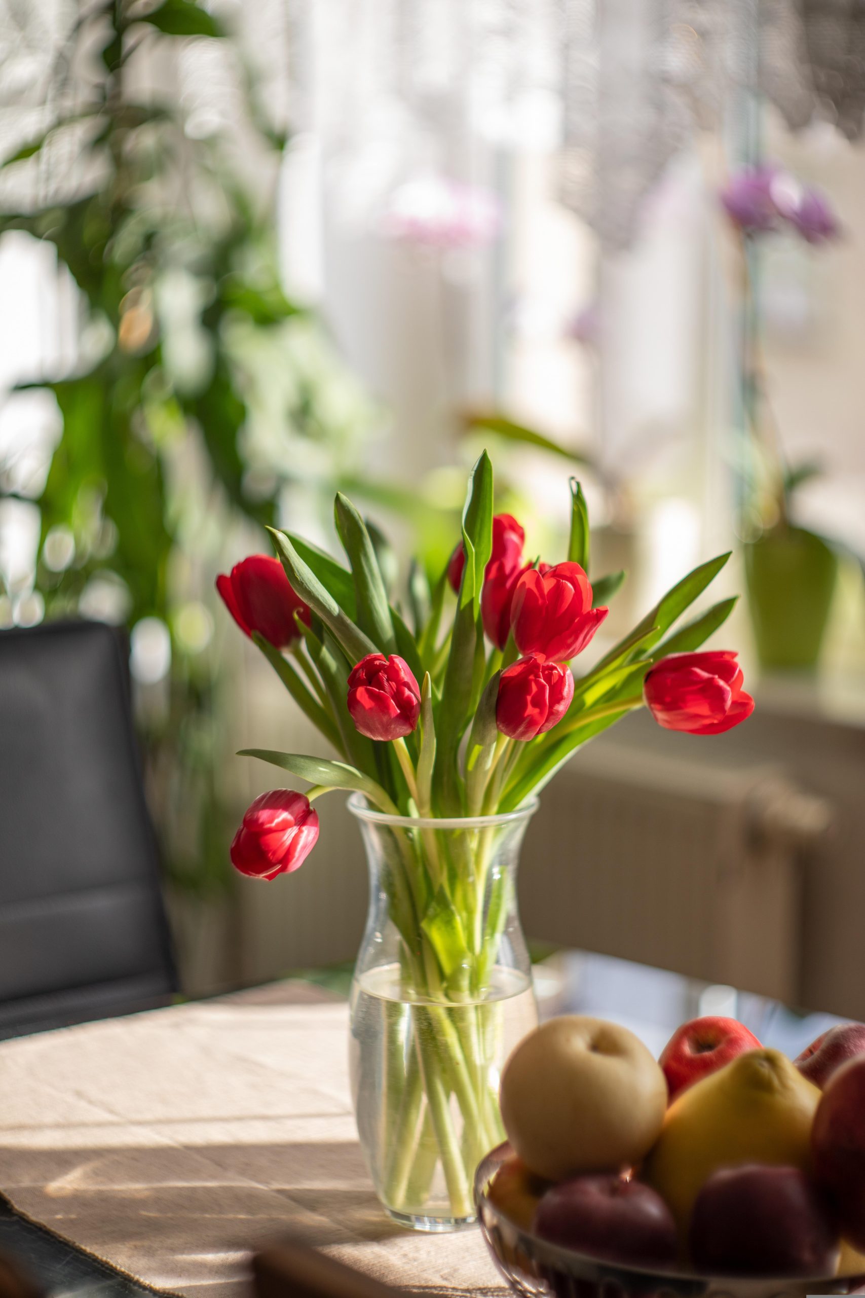 tulips-6995691